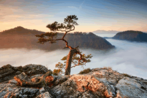 Wakacje w Panoramie Czorsztyn